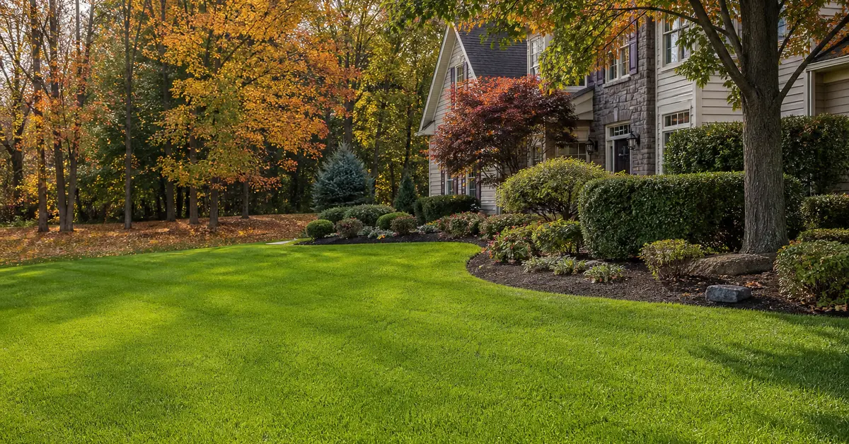 Clean Abingdon lawn and landscape beds after fall yard cleanup